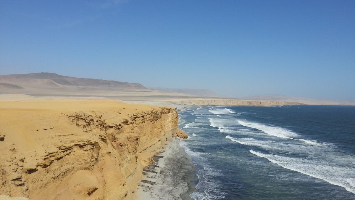 Reserva Paracas (Lima-Peru)