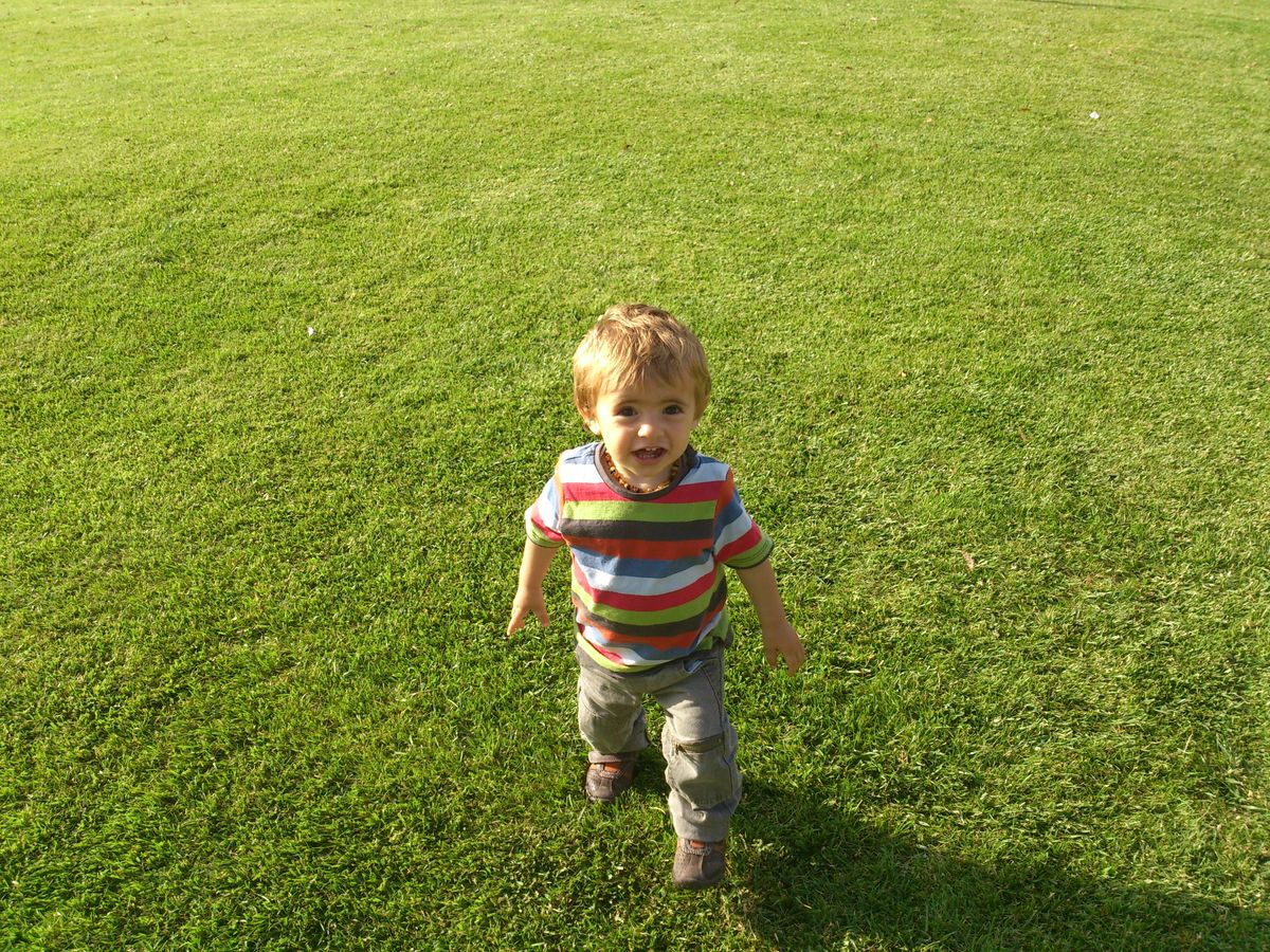 Un niño expresivo en un verde jardin