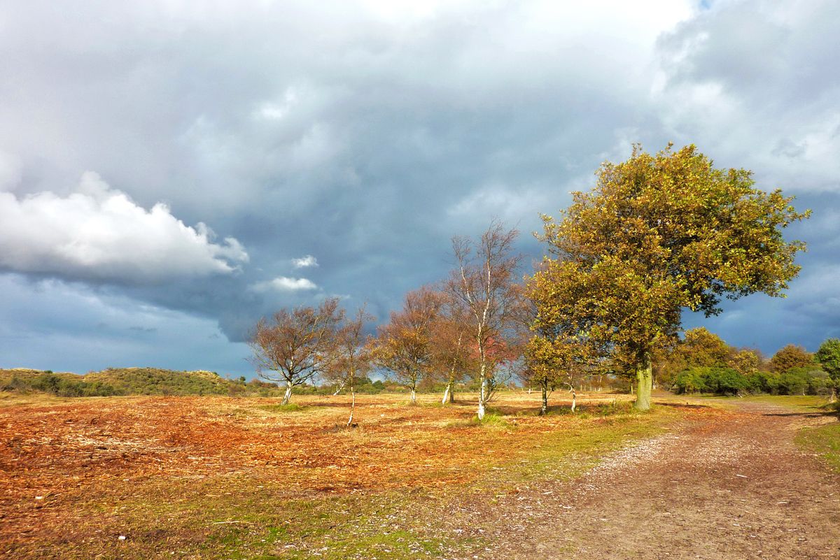 De Amsterdamse waterleidingduinen, ingang De Zilk.