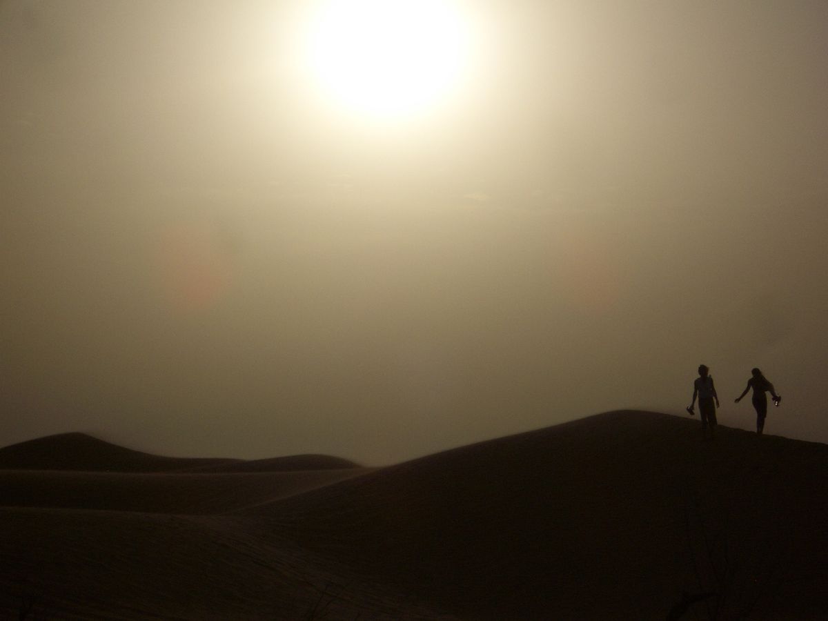 Desert Silhouettes