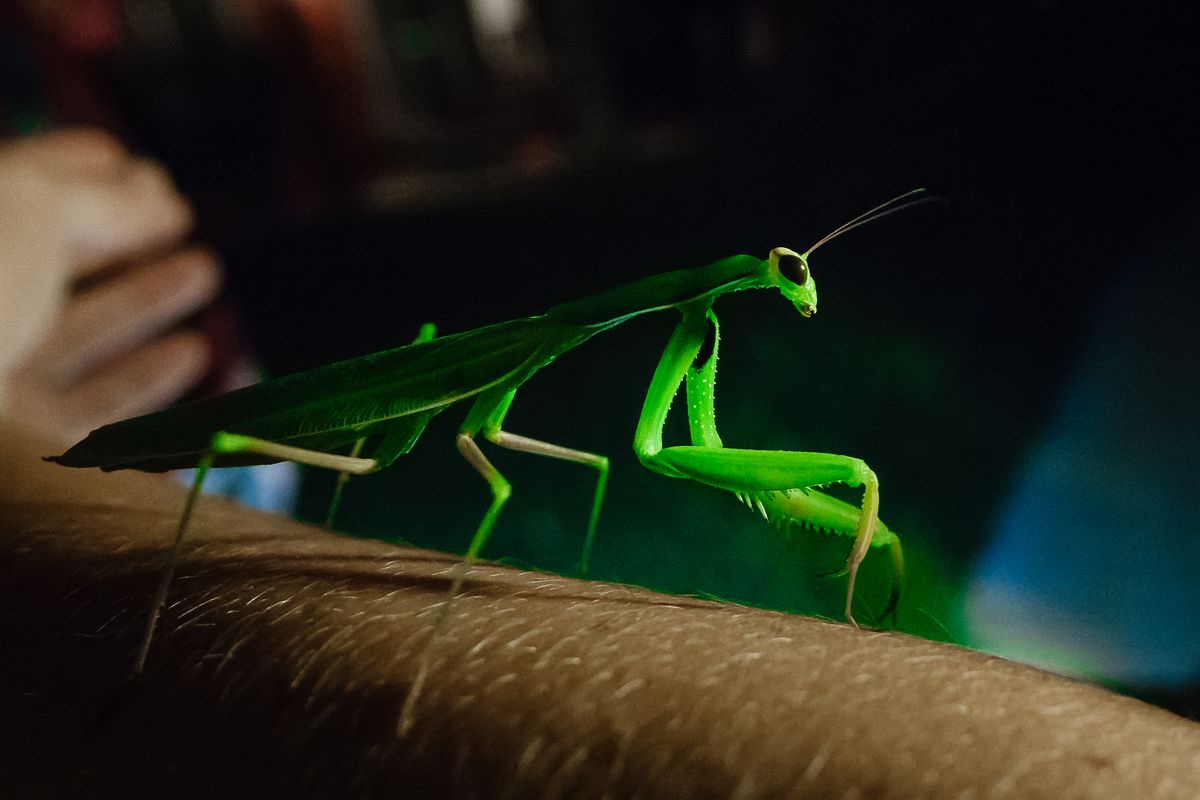 Spontan aufgenommenes Bild mit meiner neuen Sony RX10m3. 
Mit Lightroom entwickelt (Rauschen, Schärfe, Farben).