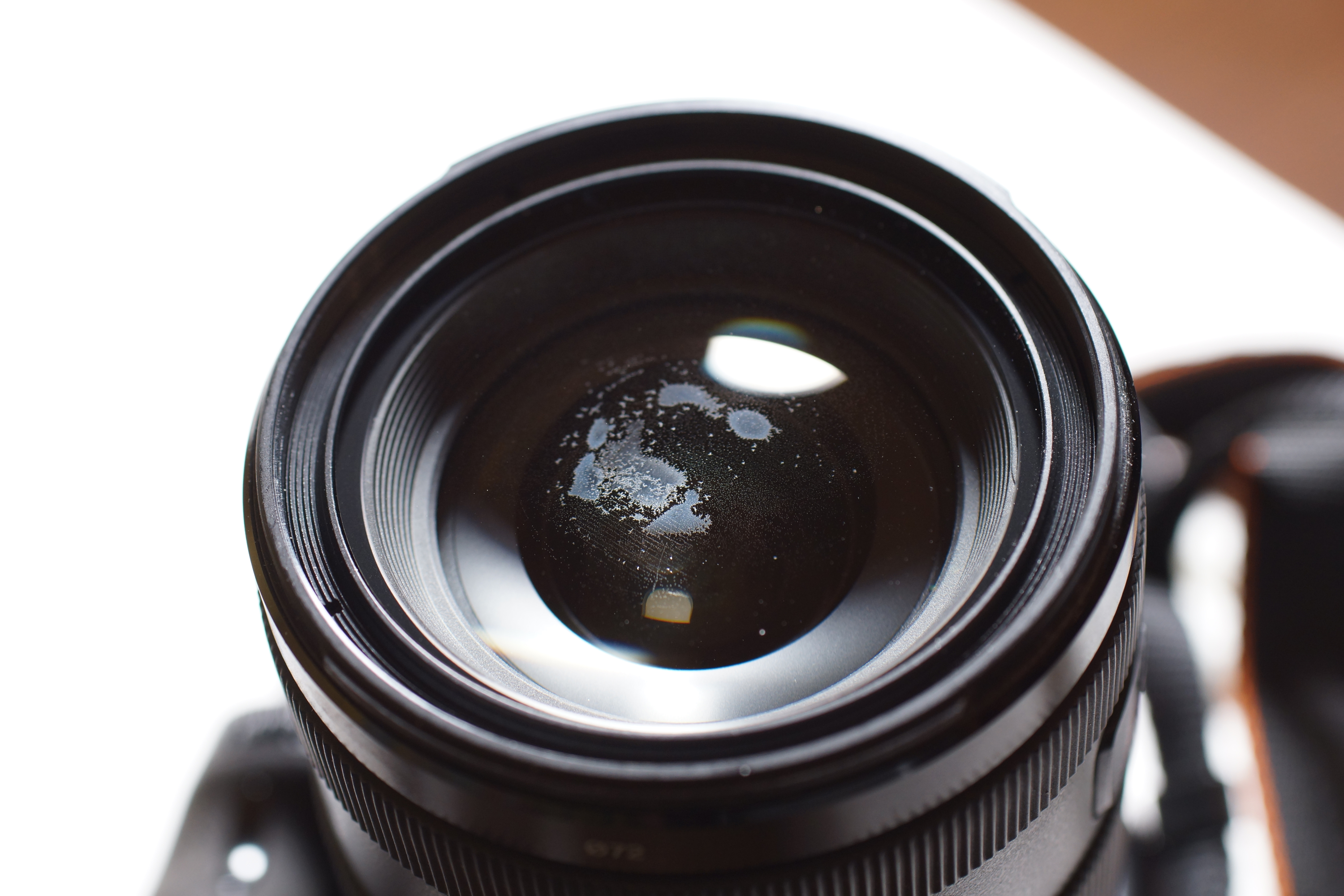 DT 16-50mm F2.8 SSM with "biology" under front glass