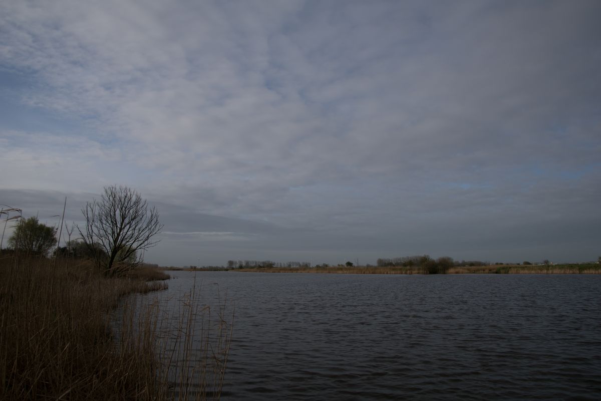 copie2-0004.jpg