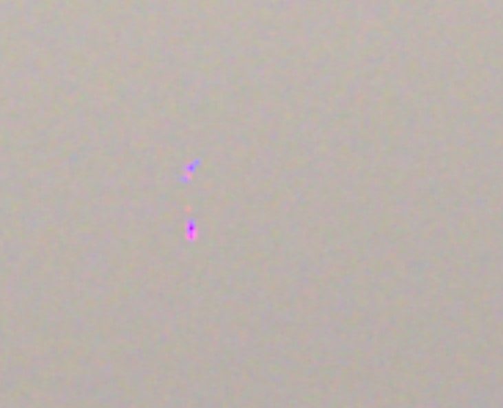 Снимок экрана 2021-08-27 204203.jpg