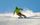 TheSkiGuy